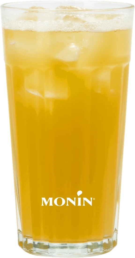 Tropical Splash Refresher